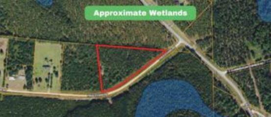 2783 Fred Evans Road Wadley, GA 30477 - Photo 5 of 5 5