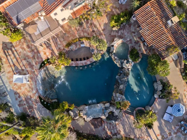 a picture of a tree with a yard