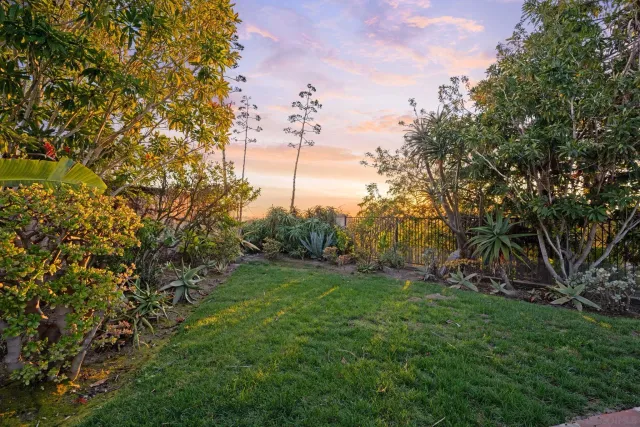 a view of a patio with table and chairs and potted plants
