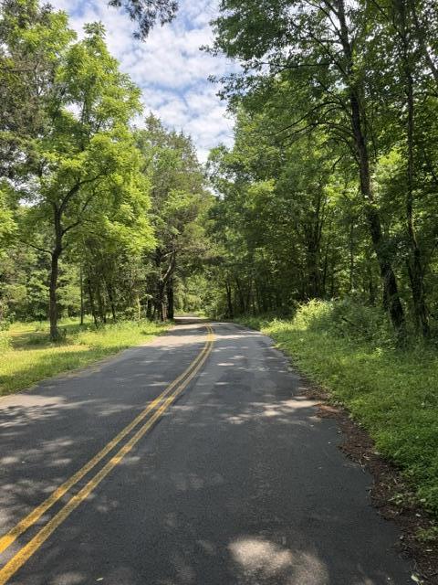 2784 Fiery Gizzard Road South Pittsburg, TN 37380 - Photo 19 of 19 Hankins 12