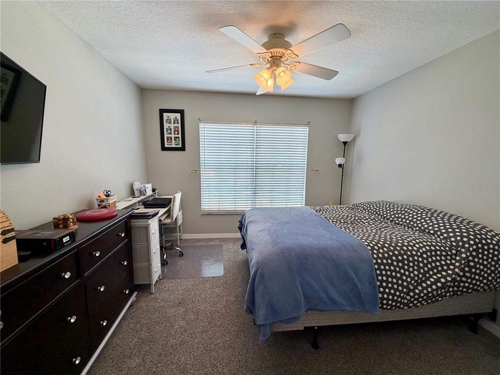 11837 Castine Street New Port Richey, FL 34654 - Photo 24 of 47