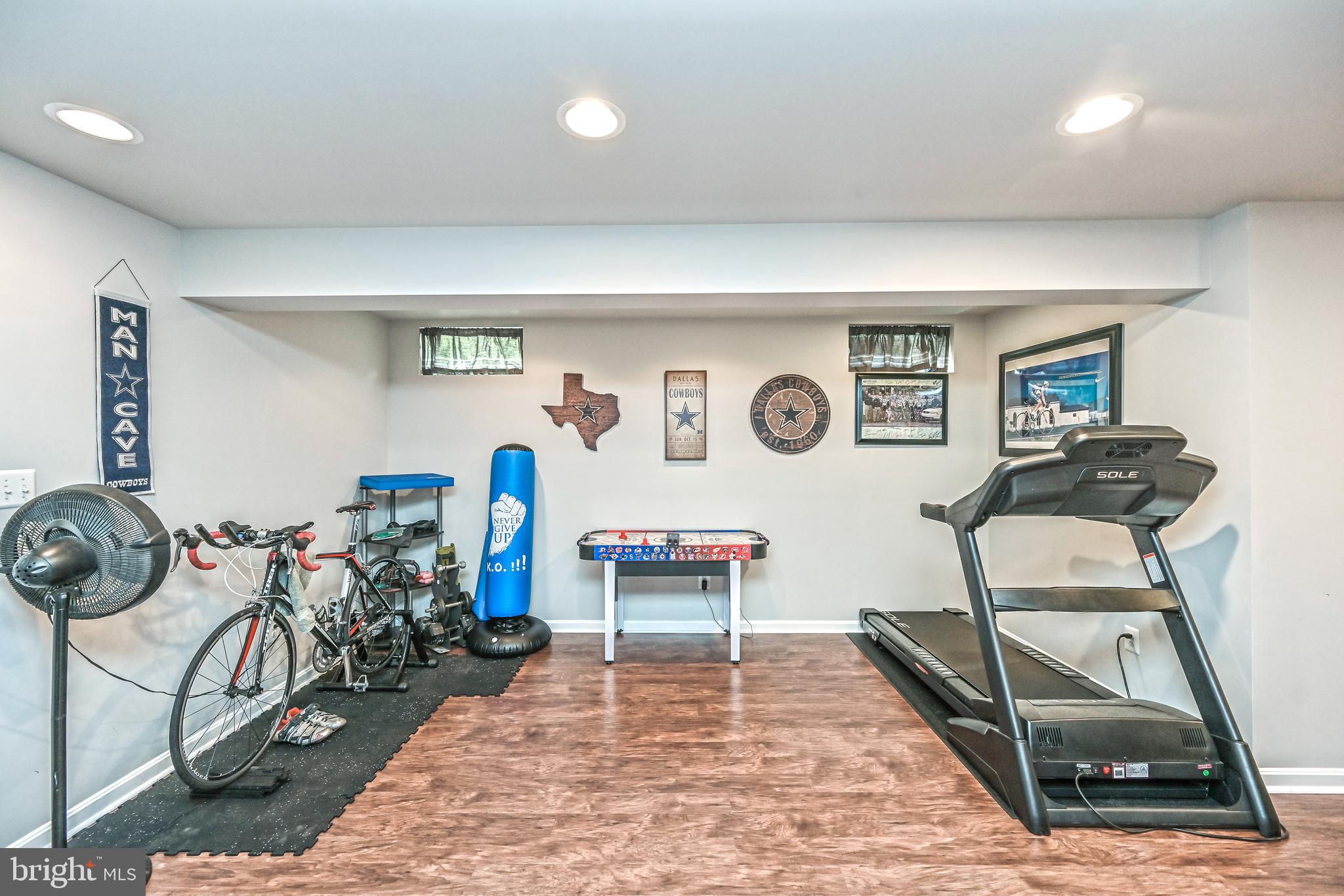 14340 Fallsmere Circle Gainesville, VA 20155 - Photo 48 of 62 REC-ROOM