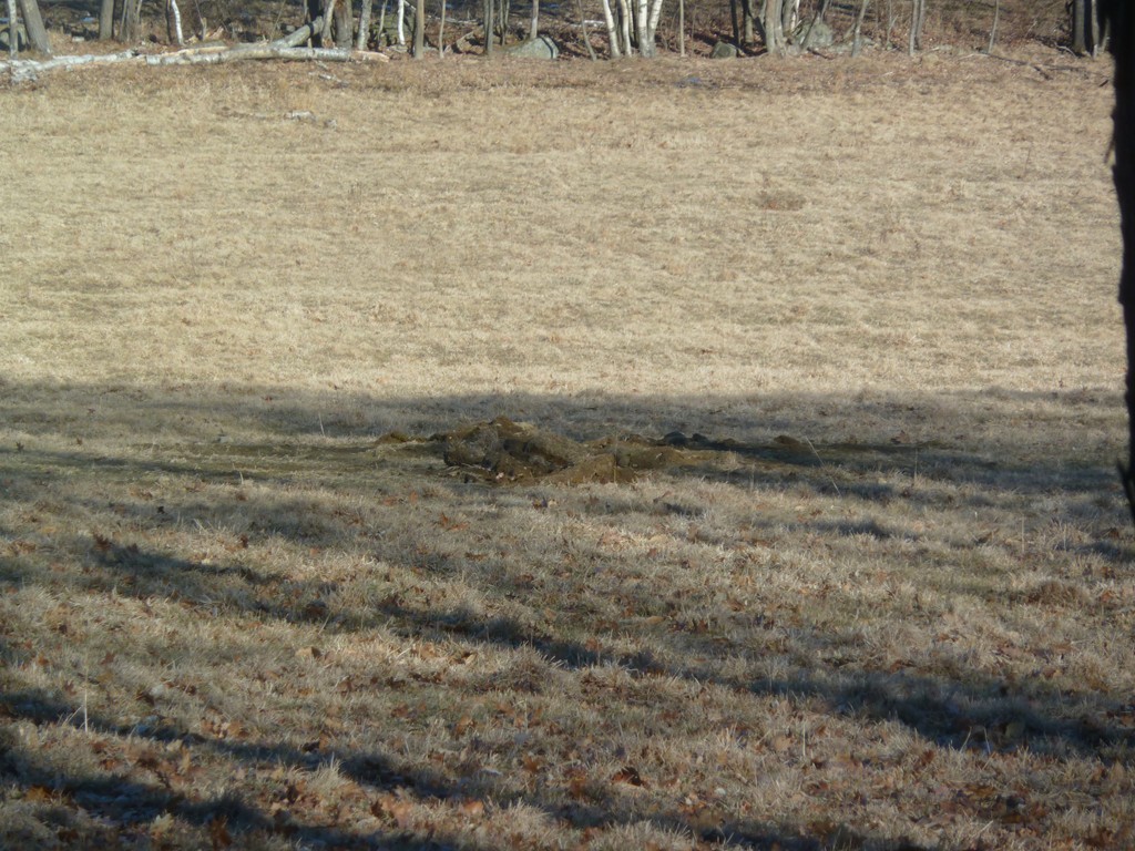 0 Chase Hill Road Warwick, MA 01378 - Photo 4 of 13