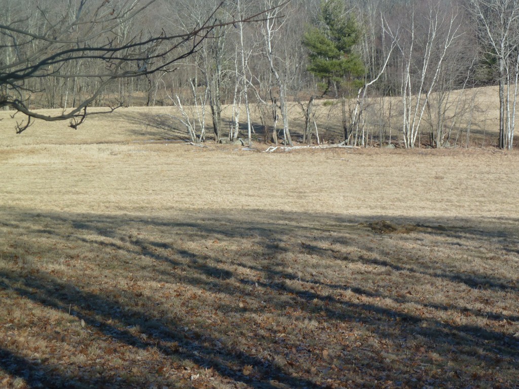 0 Chase Hill Road Warwick, MA 01378 - Photo 5 of 13 a view of a yard with a white fence