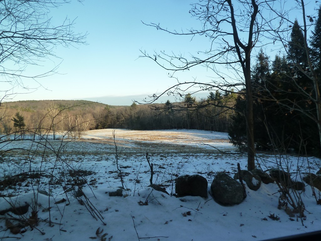 0 Chase Hill Road Warwick, MA 01378 - Photo 8 of 13 a view of a backyard of the house