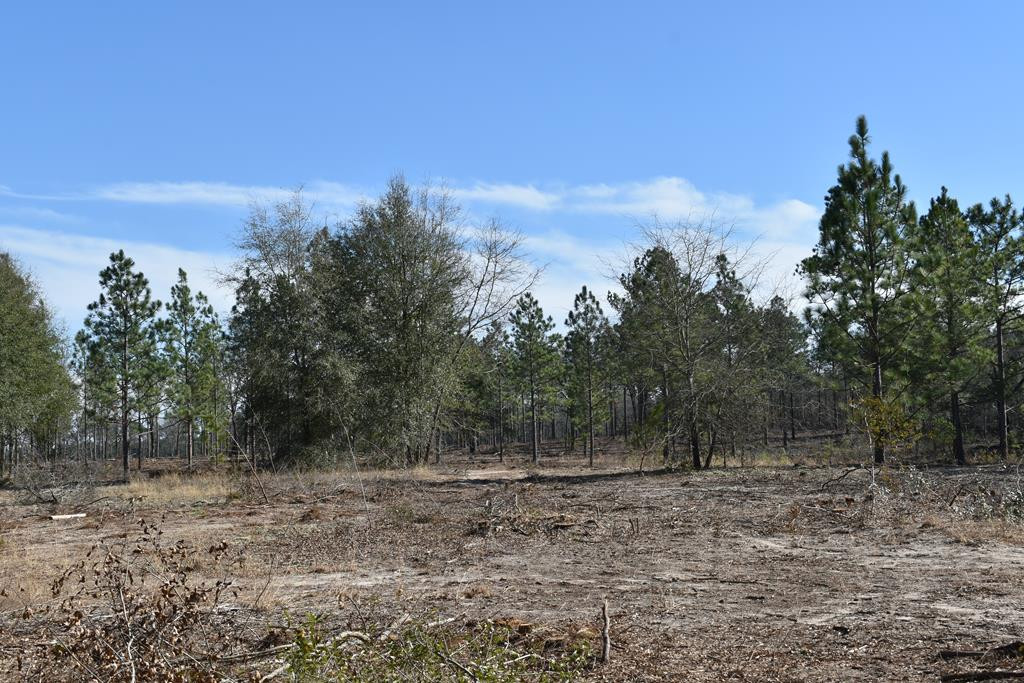 New Lot 1 New Road Windsor, SC 29856 - Photo 1 of 6