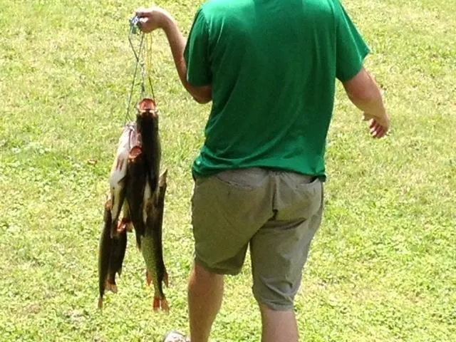 $1,000,000 | 13505 485th Avenue, Parkers Prairie, MN 56361