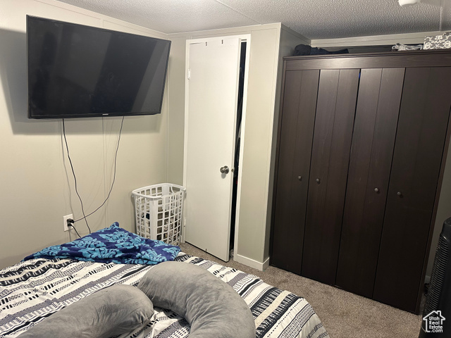 1375 West 500th North, Unit 95 Provo, UT 84601 - Photo 10 of 19 Bedroom featuring light carpet, a closet, and a textured ceiling