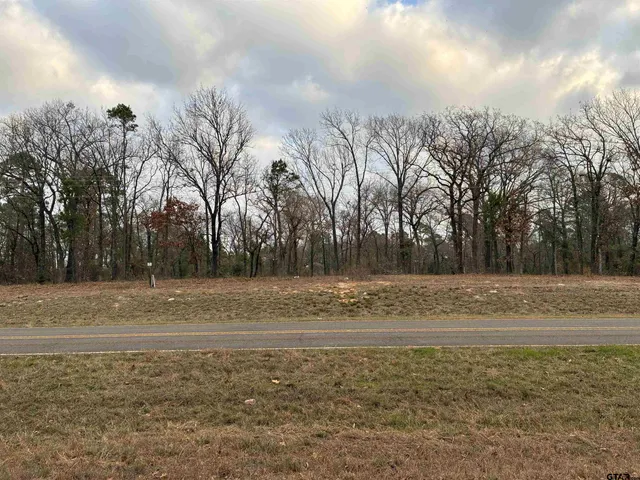 a view of a yard with a large tree