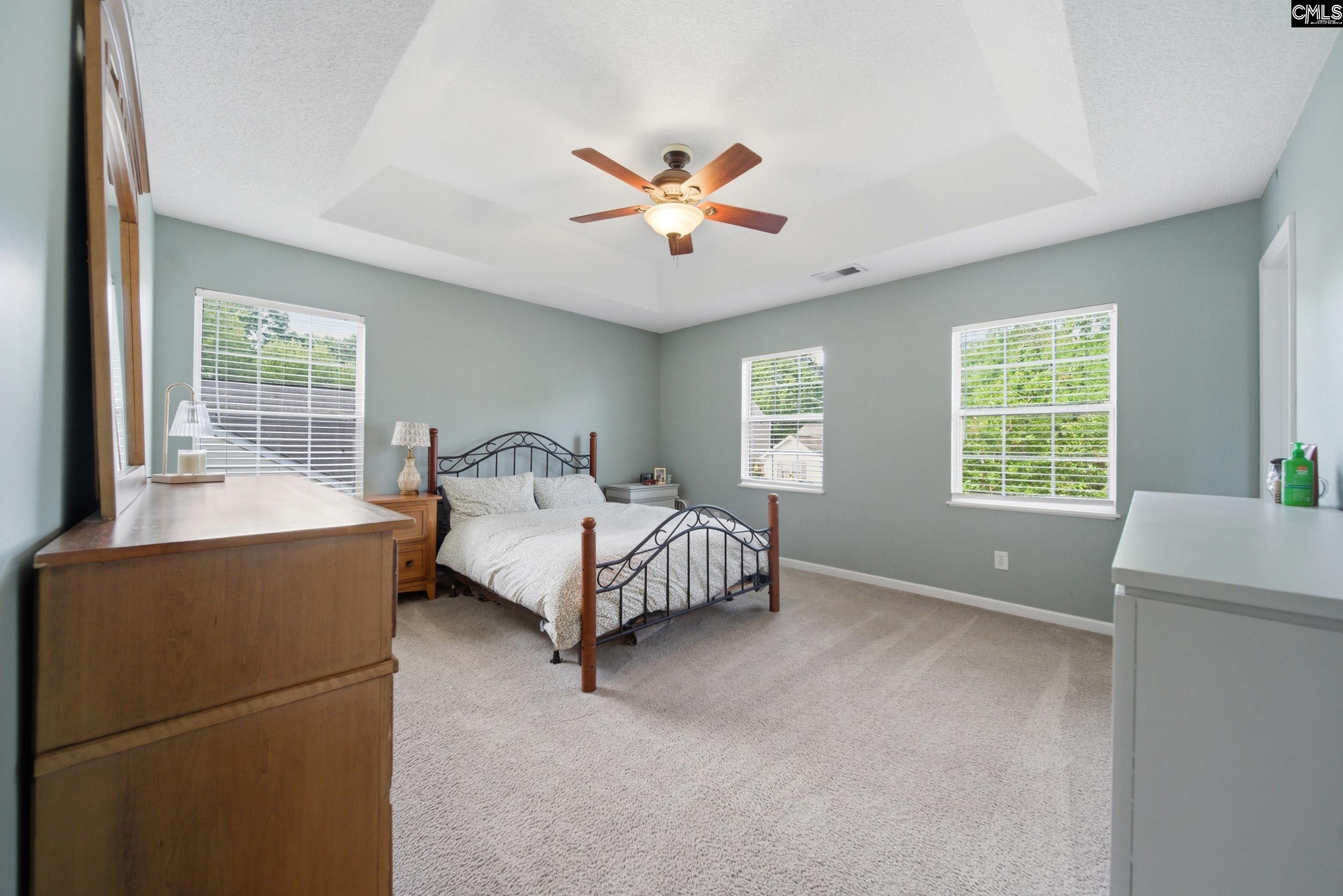 16 Stoney Pointe Drive Chapin, SC 29036 - Photo 17 of 40