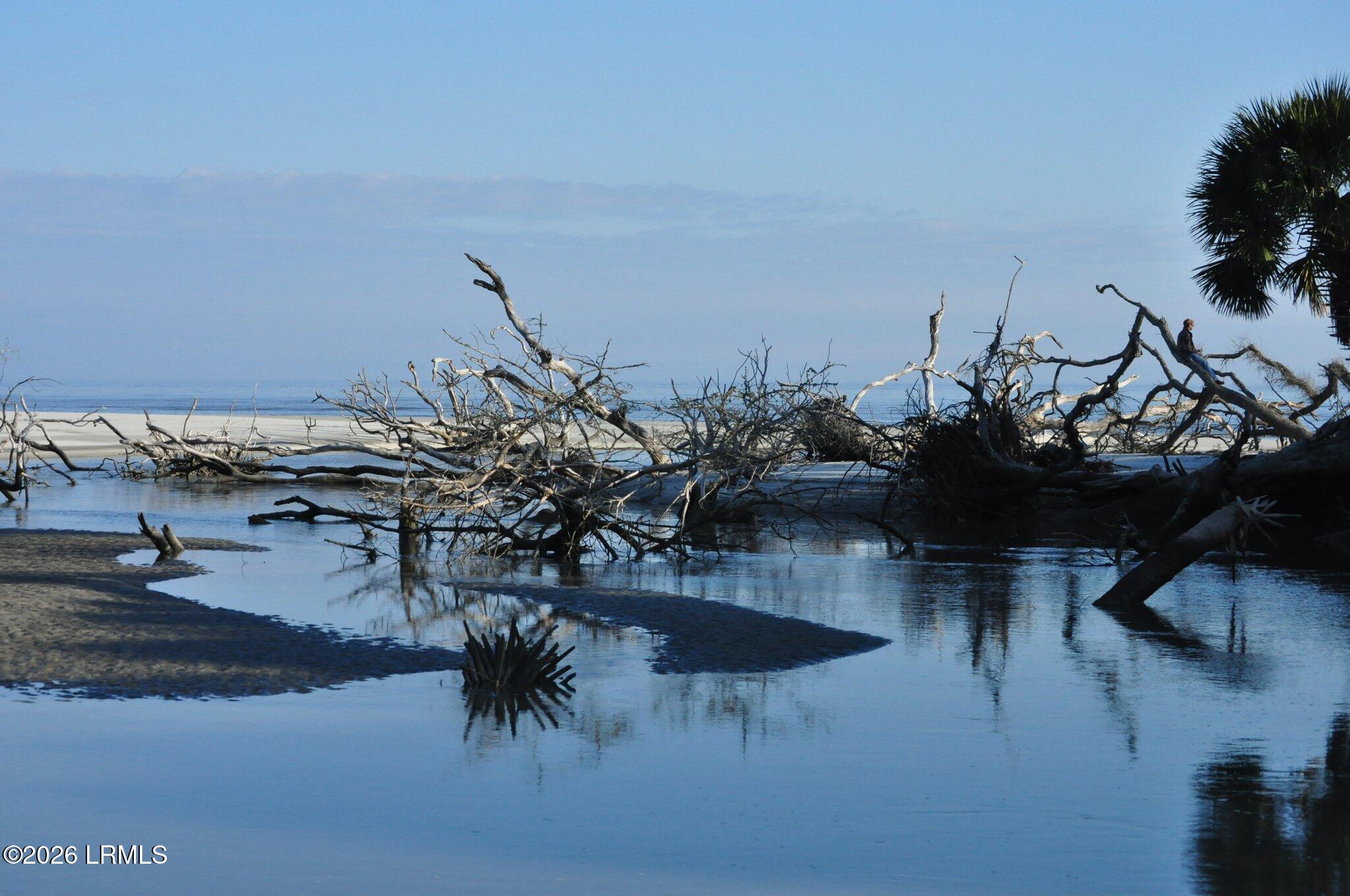 21 Toad Hall Beaufort, SC 29907 - Photo 53 of 60 Driftwood