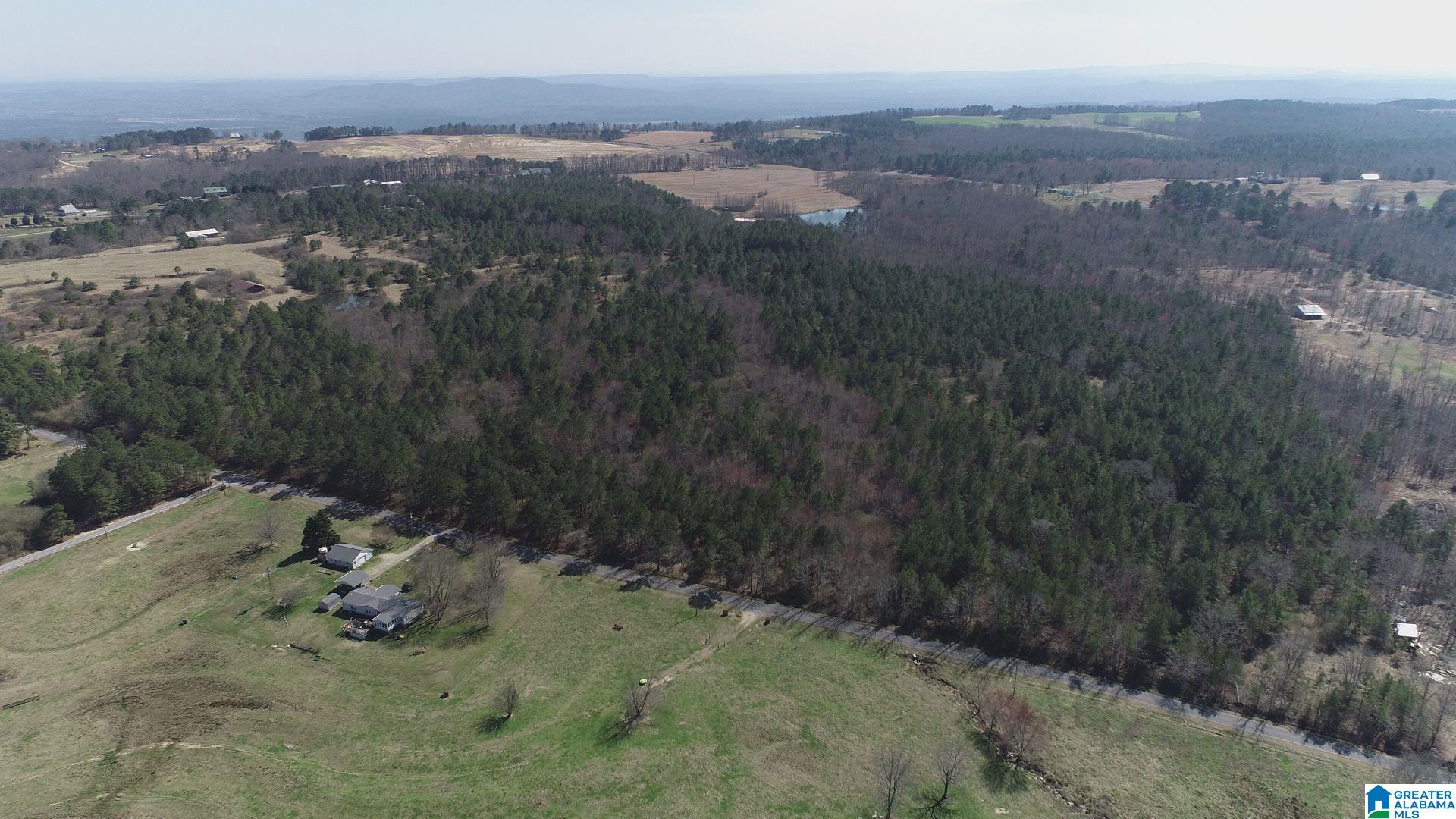 0 Jones Chapel Loop, Unit 15 / ACRES Springville, AL 35146 - Photo 9 of 10