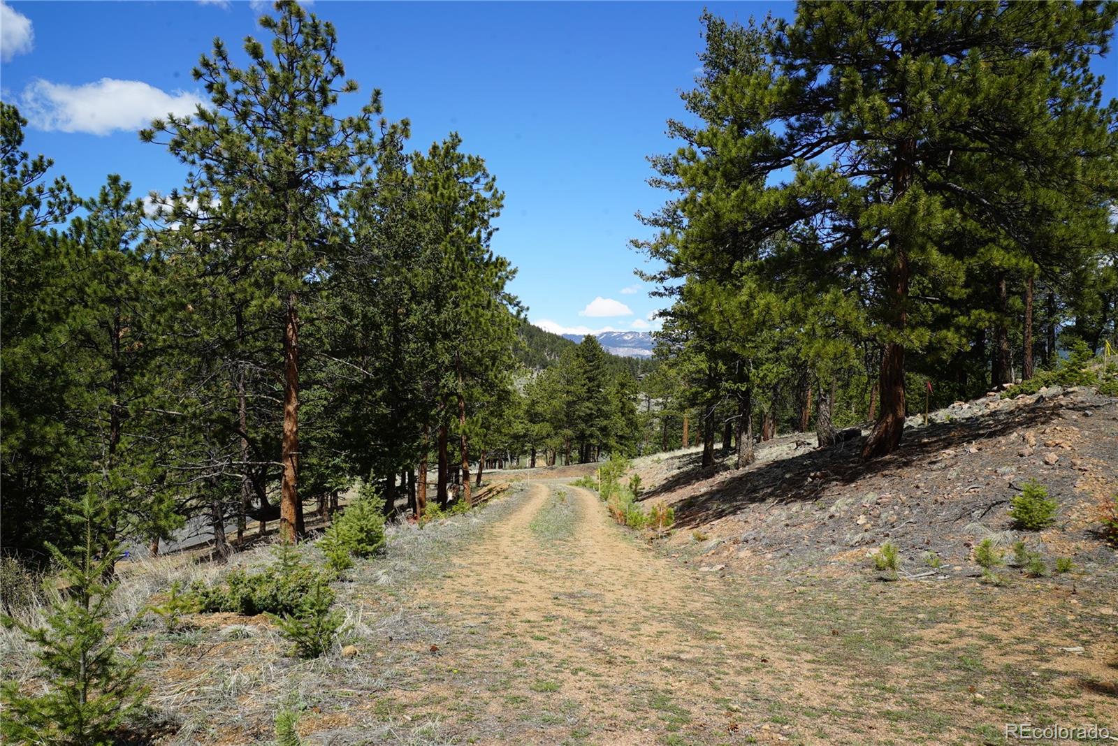750 Lions Head Ranch Road Pine, CO 80470 - Photo 4 of 20