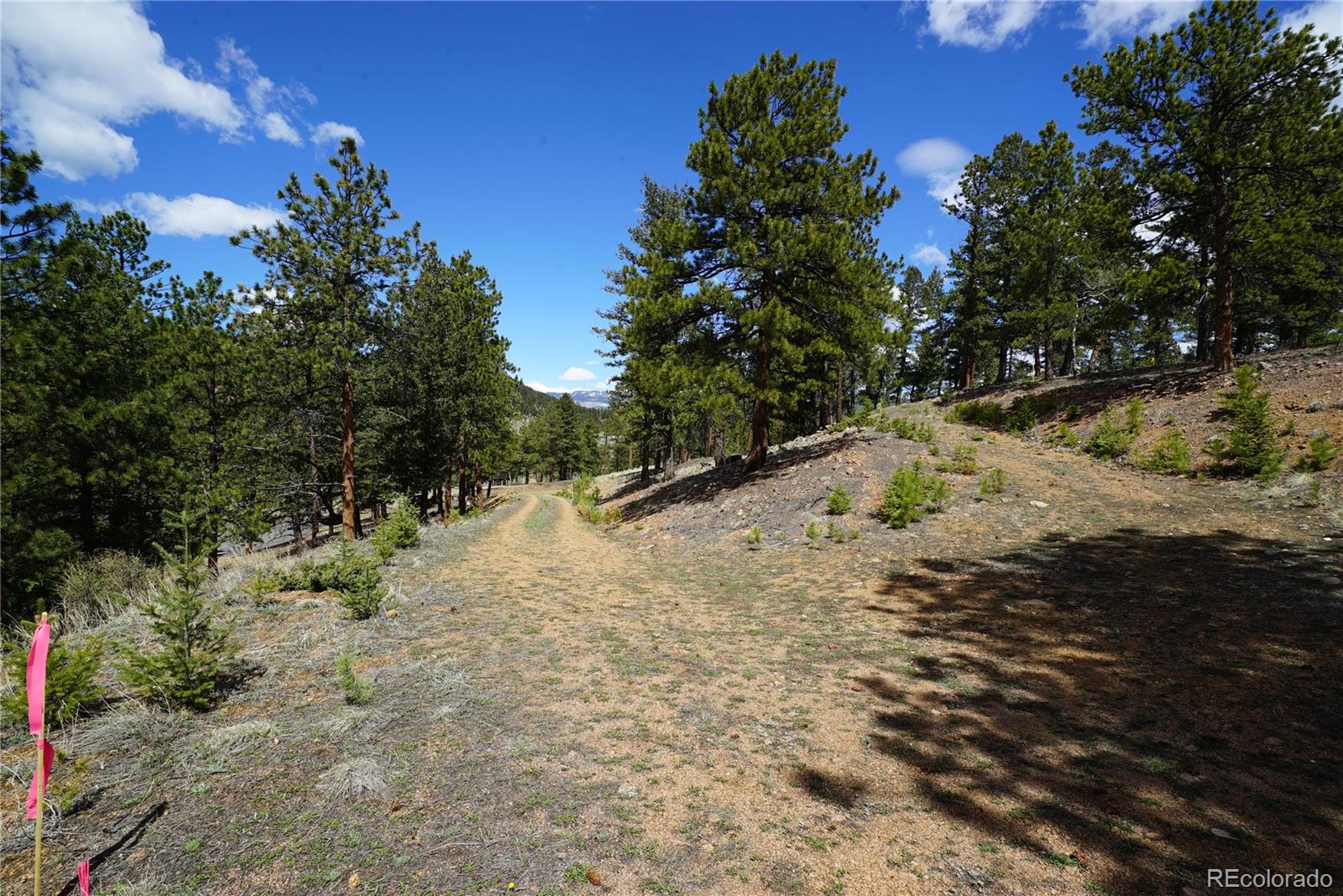 750 Lions Head Ranch Road Pine, CO 80470 - Photo 5 of 20