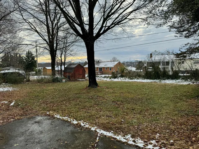a view of yard with tree