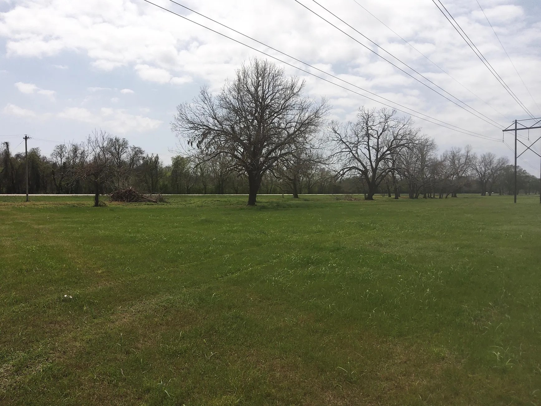 Lot 1 FM 521 Road Angleton, TX 77515 - Photo 7 of 34