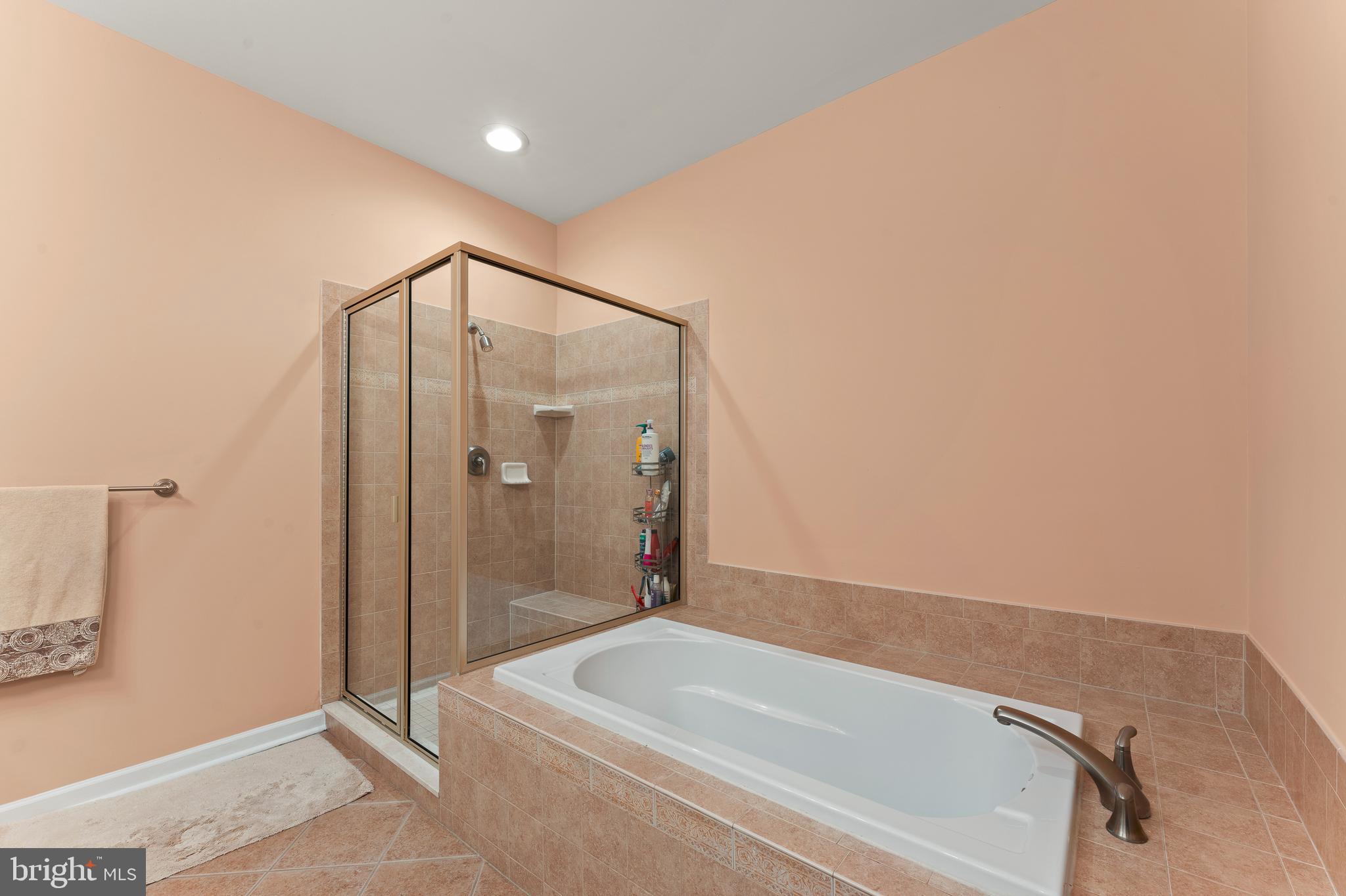 516 Carson Terrace Huntingdon Valley, PA 19006 - Photo 19 of 29 a bathroom with a bathtub and a shower