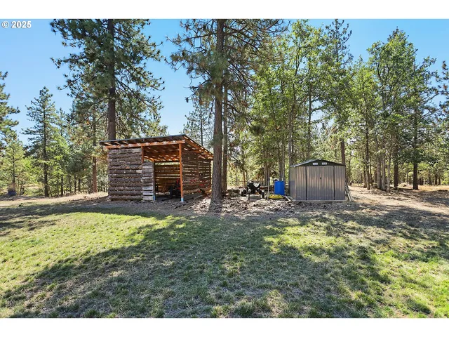 a view of a backyard with large trees