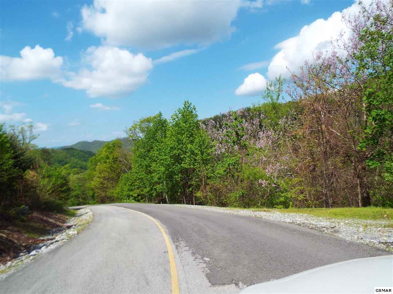East Redtail Road Sevierville, TN 37862 - Photo 2 of 9 1000005036_5