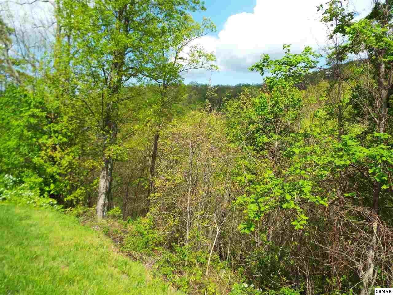 East Redtail Road Sevierville, TN 37862 - Photo 3 of 9 1000005036_12