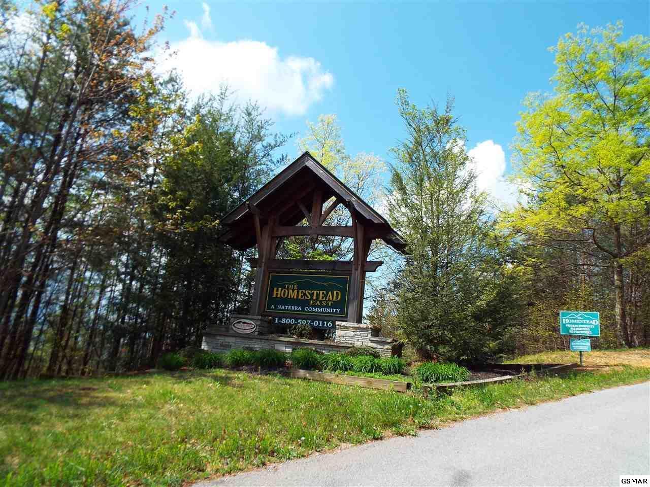 East Redtail Road Sevierville, TN 37862 - Photo 8 of 9 1000005036_24