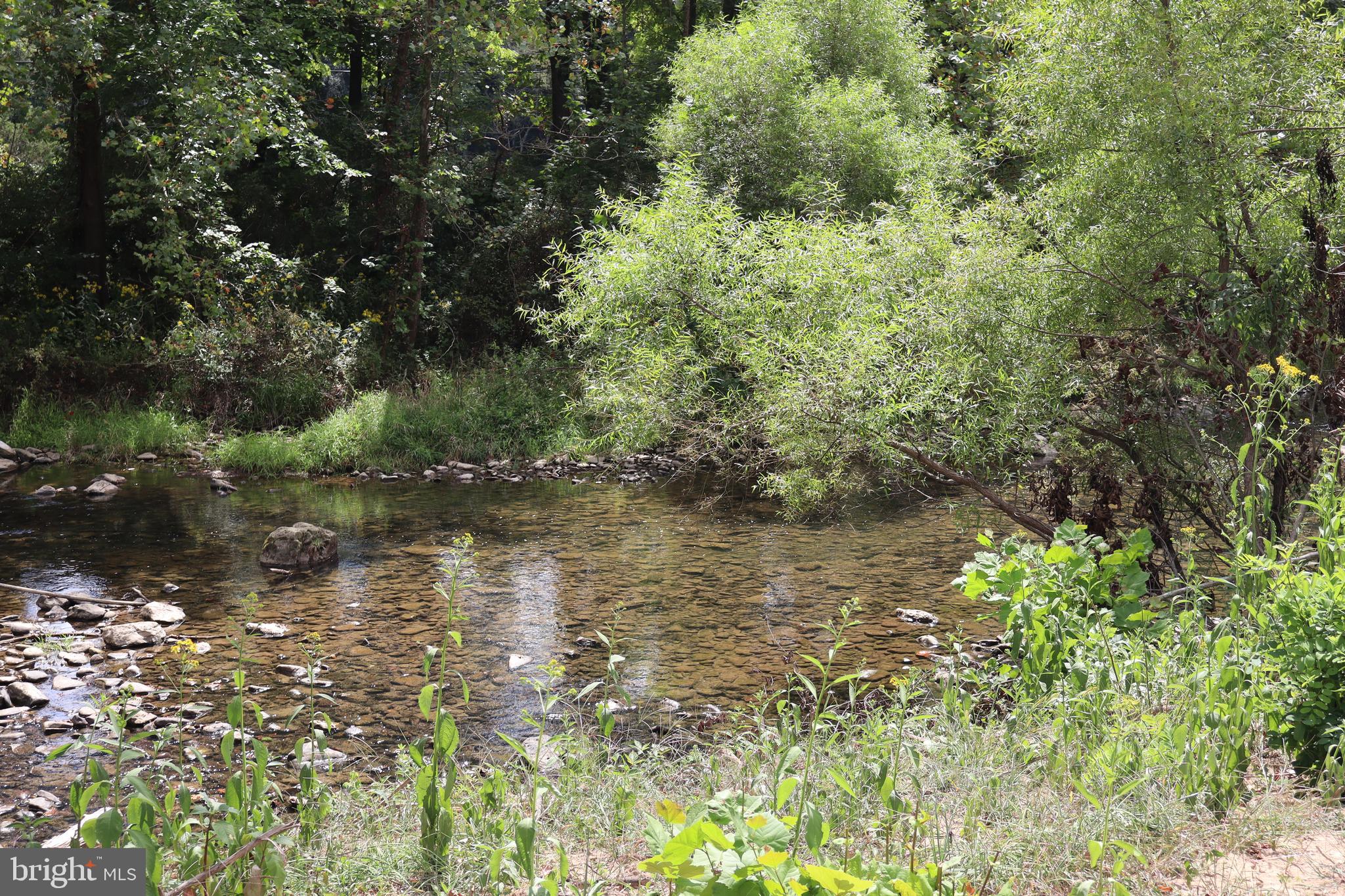 106 Pit Run Road Brandywine, WV 26802 - Photo 43 of 52