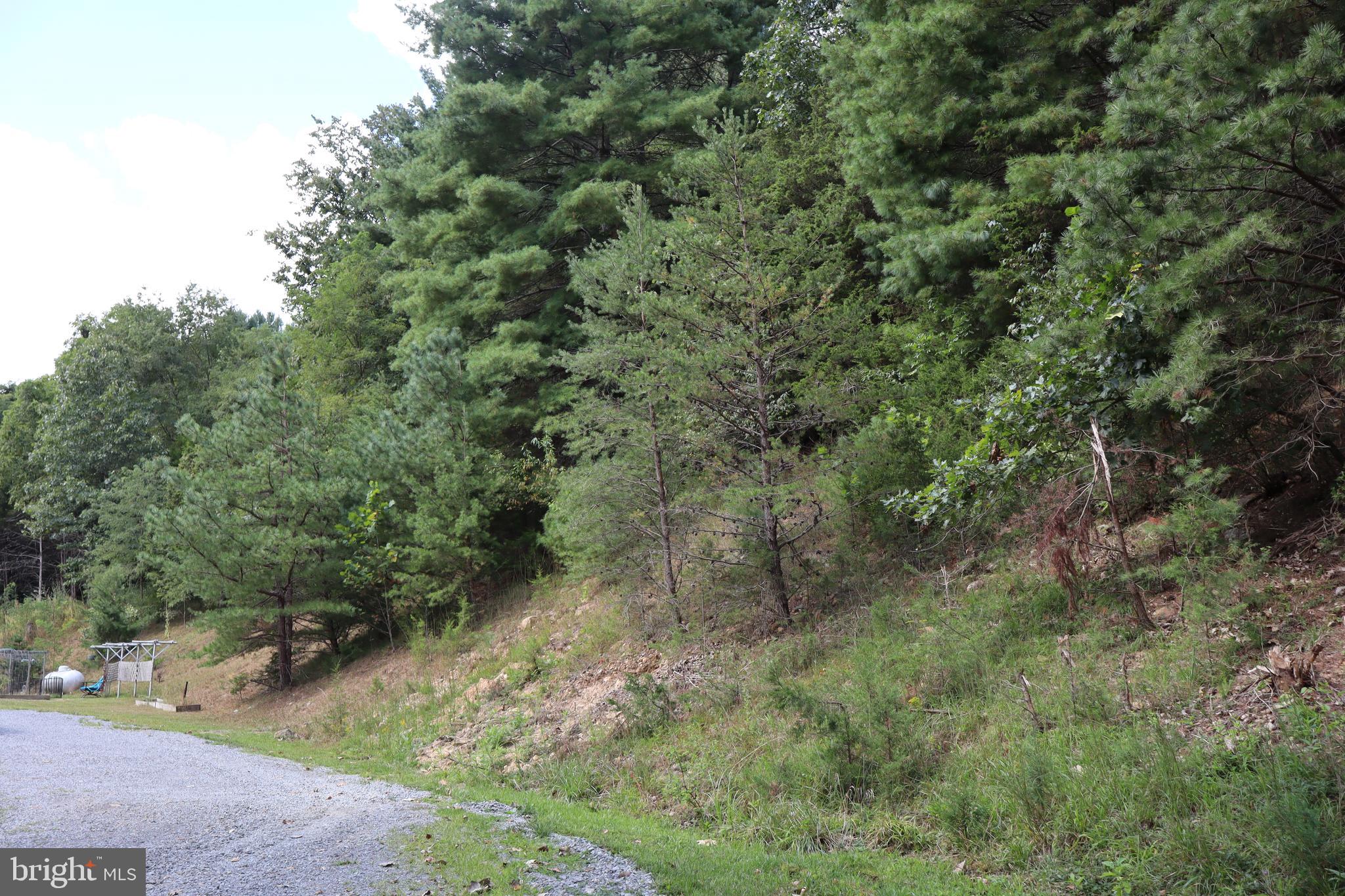 106 Pit Run Road Brandywine, WV 26802 - Photo 44 of 52