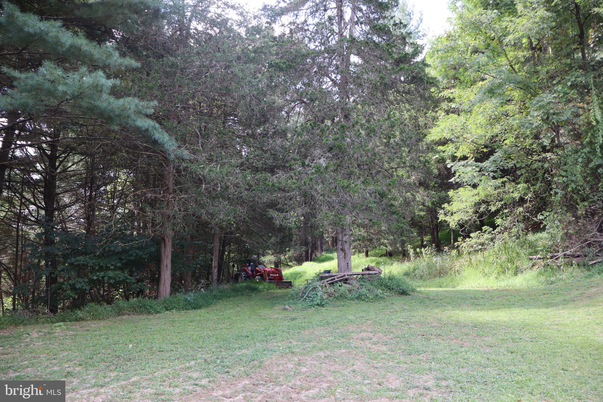 106 Pit Run Road Brandywine, WV 26802 - Photo 46 of 52