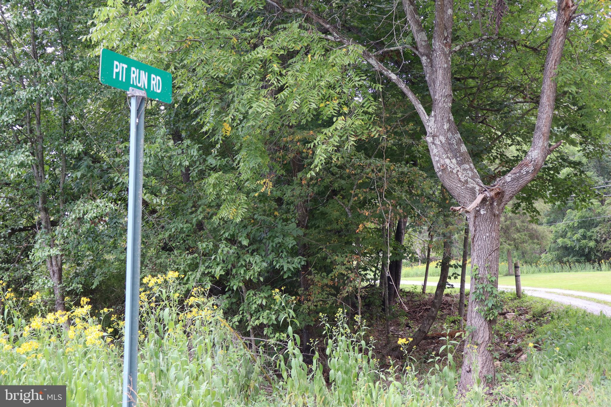 106 Pit Run Road Brandywine, WV 26802 - Photo 52 of 52