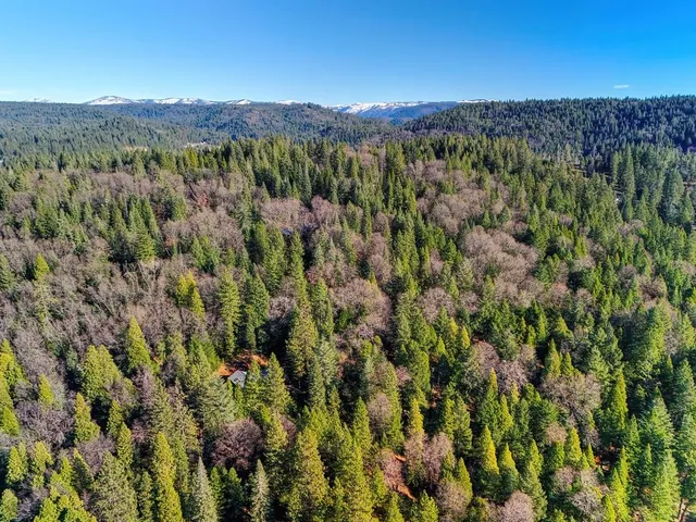 $699,000 | 575 Frost Hill Road, Alta, CA 95701