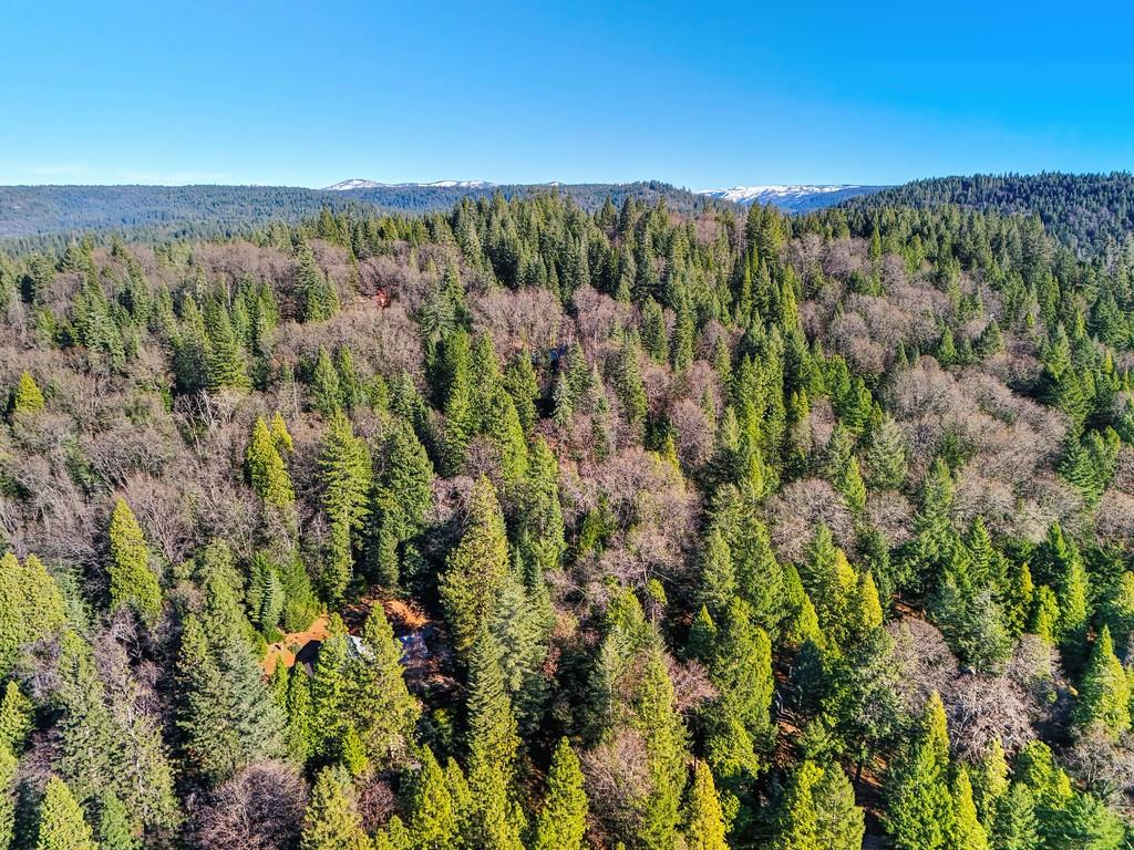 575 Frost Hill Road Alta, CA 95701 - Photo 78 of 82 Area view