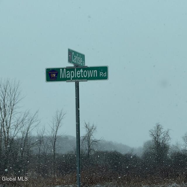 L4 Mapletown Road Canajoharie, NY 13317 - Photo 15 of 21 IMG_0141