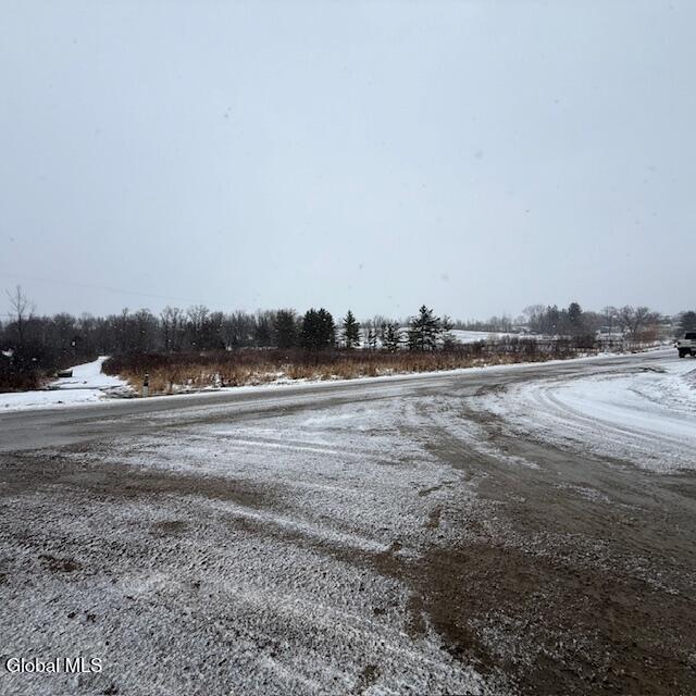 L4 Mapletown Road Canajoharie, NY 13317 - Photo 19 of 21 IMG_0148