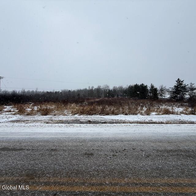 L4 Mapletown Road Canajoharie, NY 13317 - Photo 20 of 21 IMG_0149