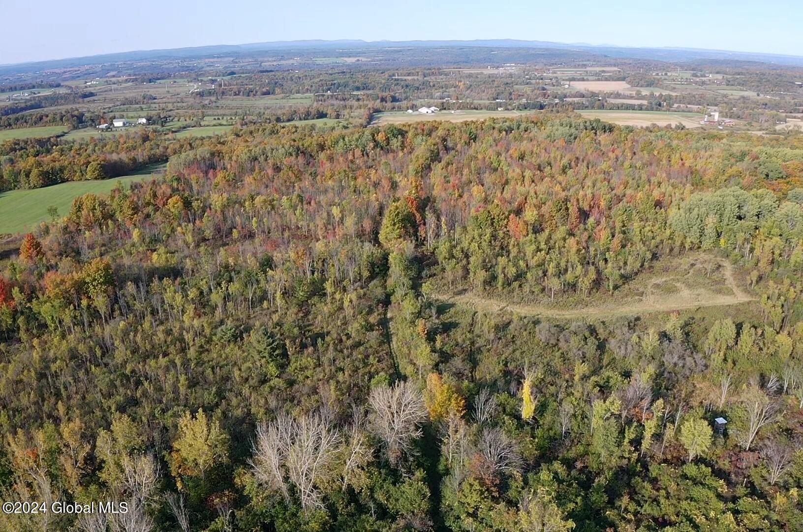 L4 Mapletown Road Canajoharie, NY 13317 - Photo 6 of 21 IMG_7164