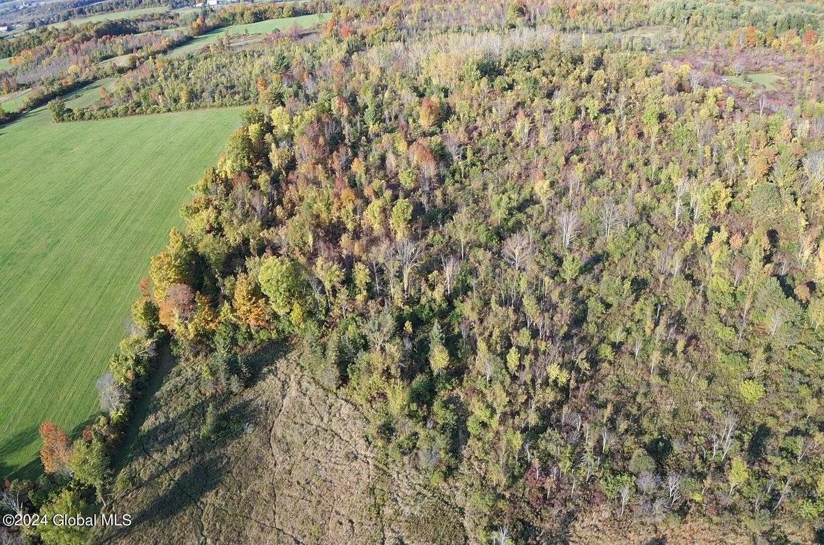 L4 Mapletown Road Canajoharie, NY 13317 - Photo 10 of 21 IMG_7166