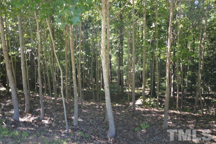 7 Westridge Road Rougemont, NC 27572 - Photo 4 of 5