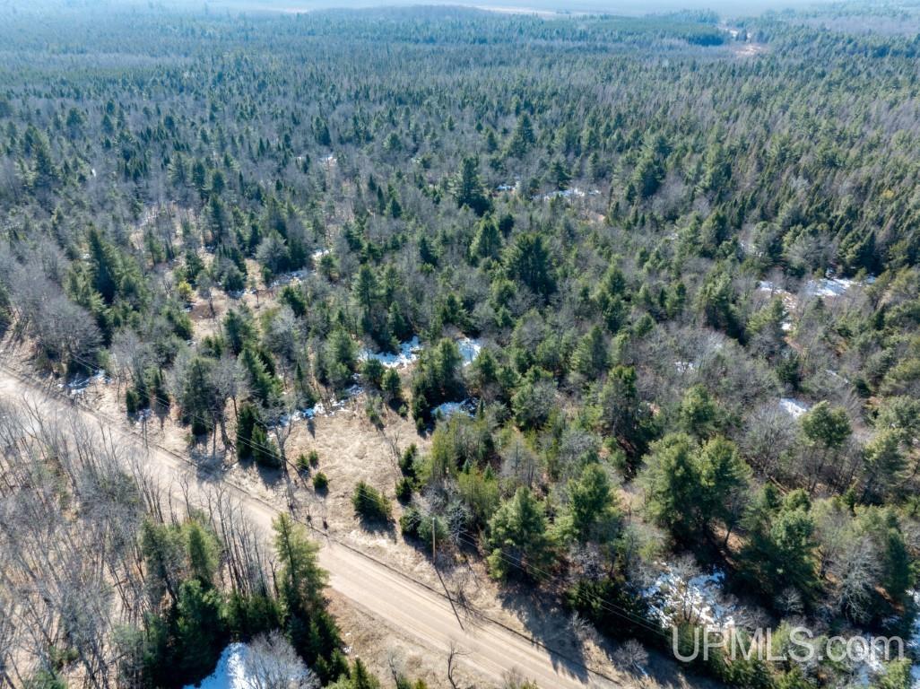 Tbd Dd Road Wetmore, MI 49895 - Photo 11 of 22