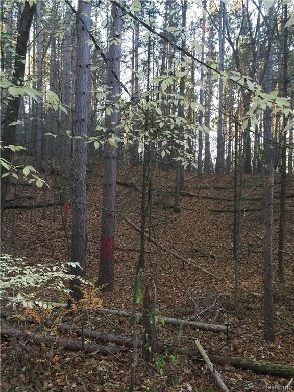 Vl Lake George Road Dryden, MI 48455 - Photo 5 of 23