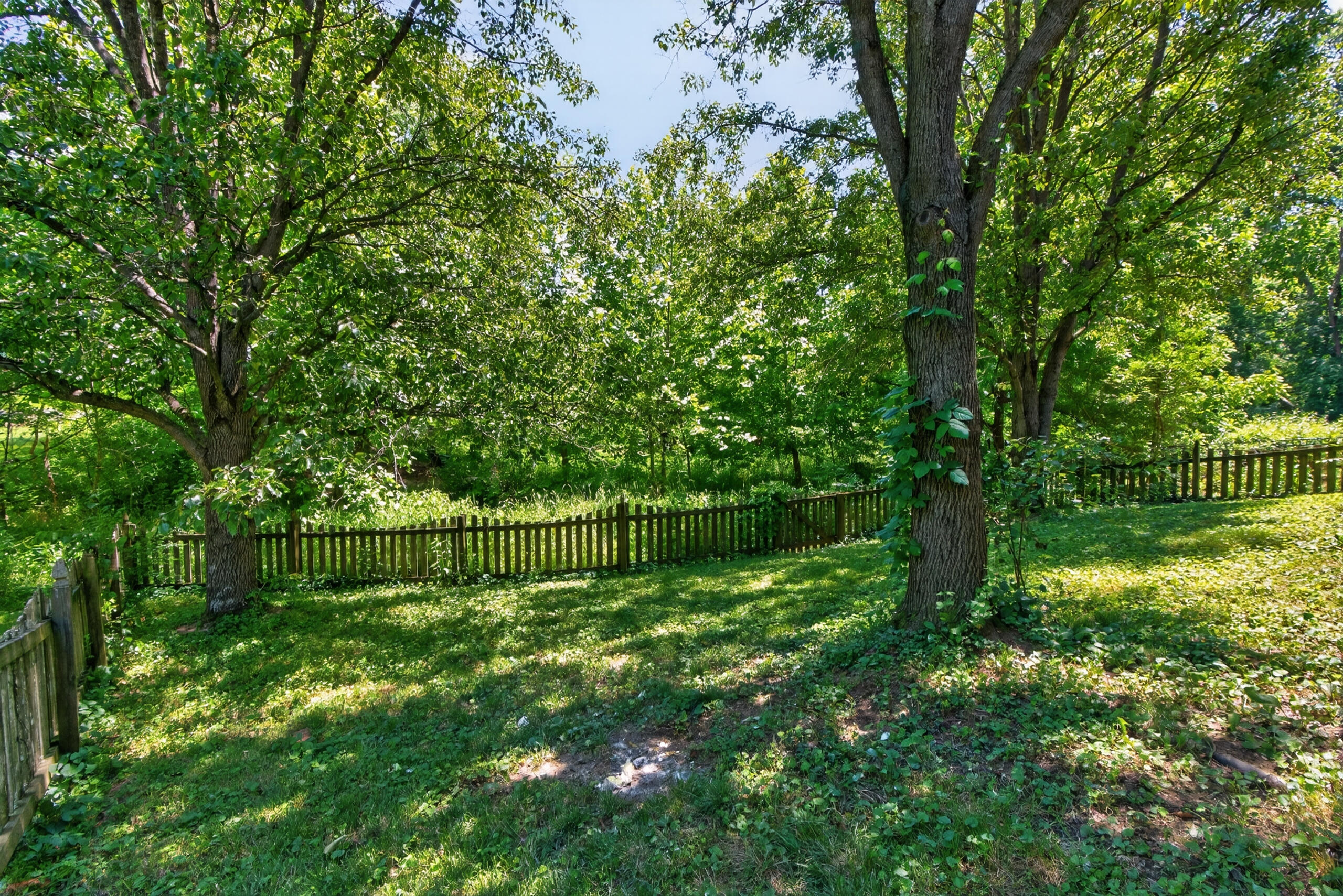 4432 River Ridge Road Lexington, KY 40515 - Photo 67 of 78 4432river58