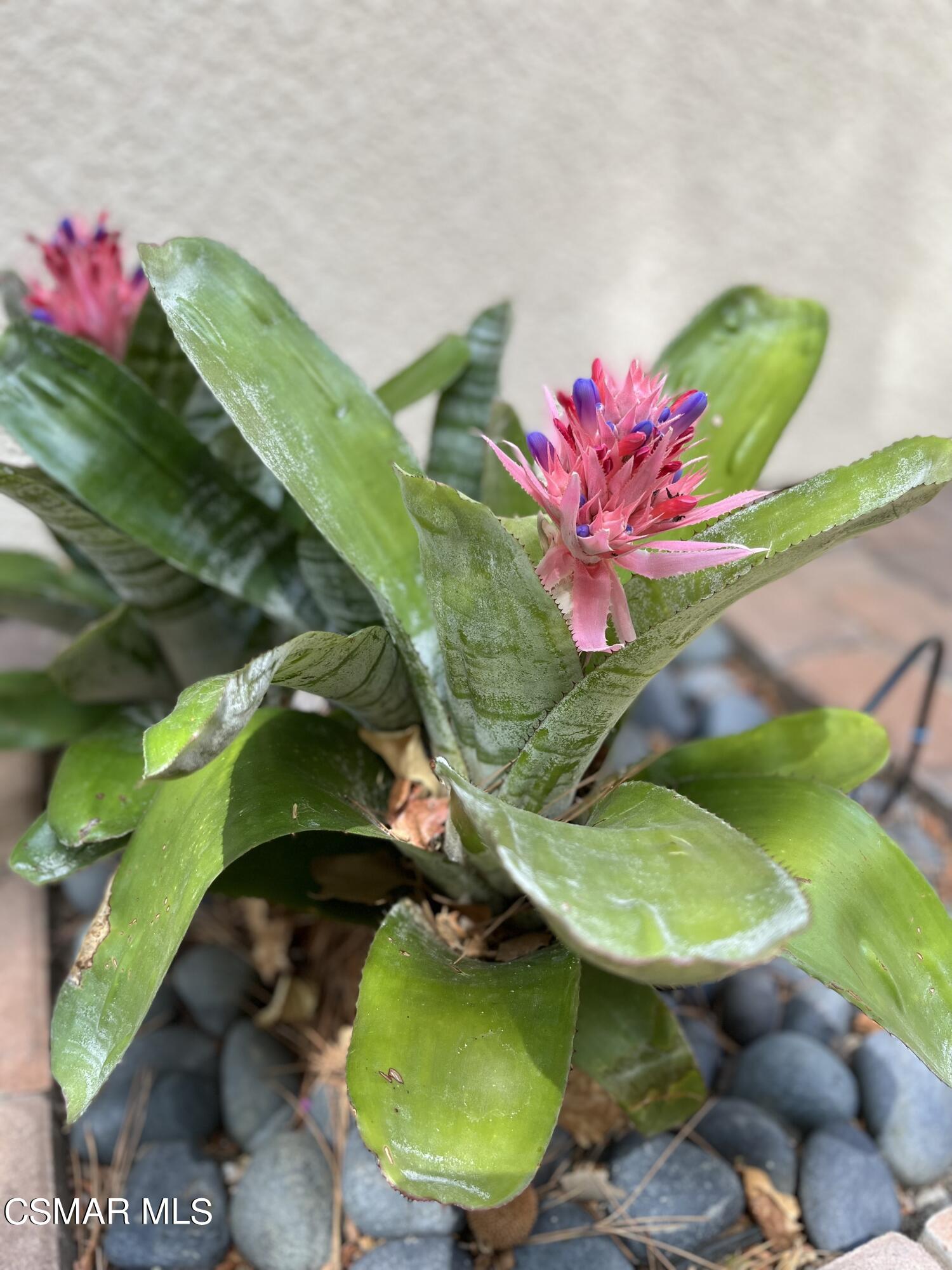 Undisclosed Address Simi Valley, CA 93063 - Photo 25 of 29 a view of a bird bath