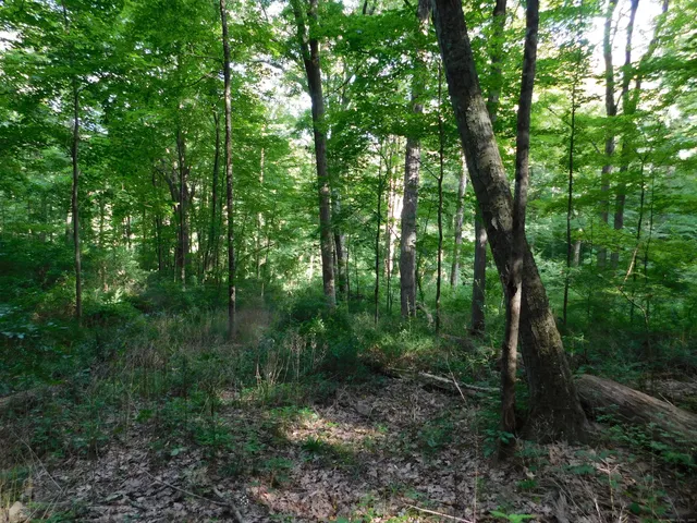 $275,000 | 153 White Hollow Road, Lakeville, CT 06039