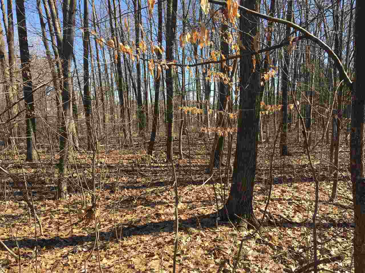 Parcel A North Byron Road Lennon, MI 48449 - Photo 17 of 22