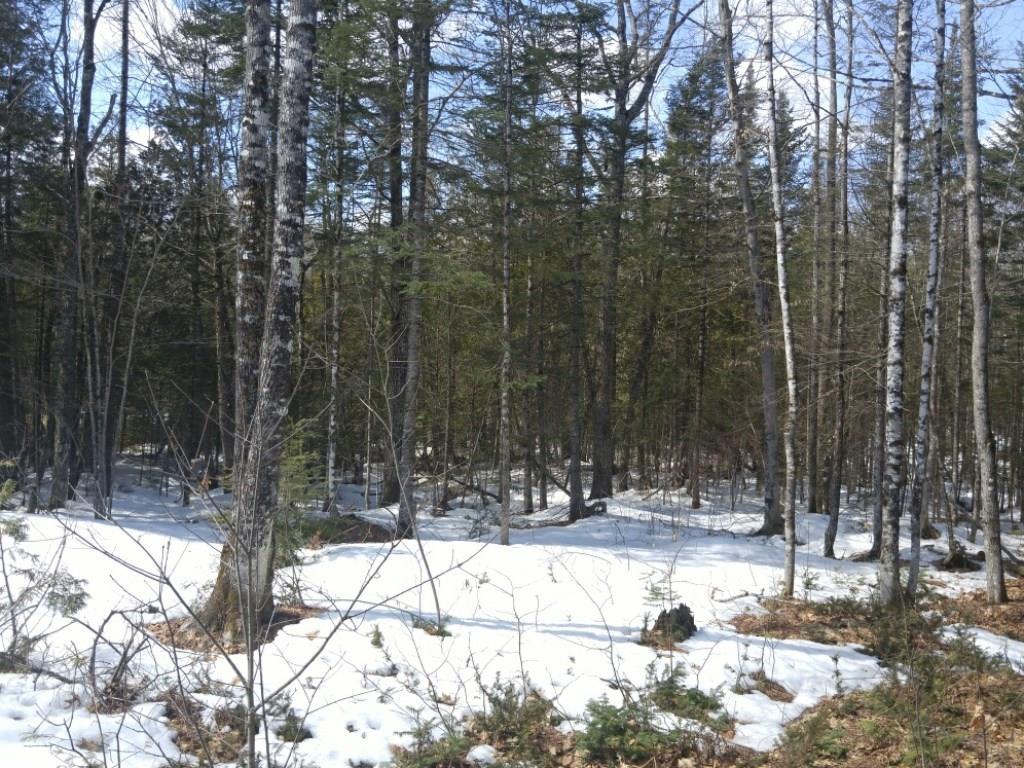 1564 New Sharon Road Anson, ME 04911 - Photo 16 of 16 Photo