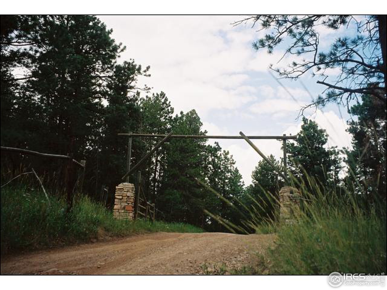 476 Stratton Park Road Bellvue, CO 80512 - Photo 11 of 12 Gallery Image 11