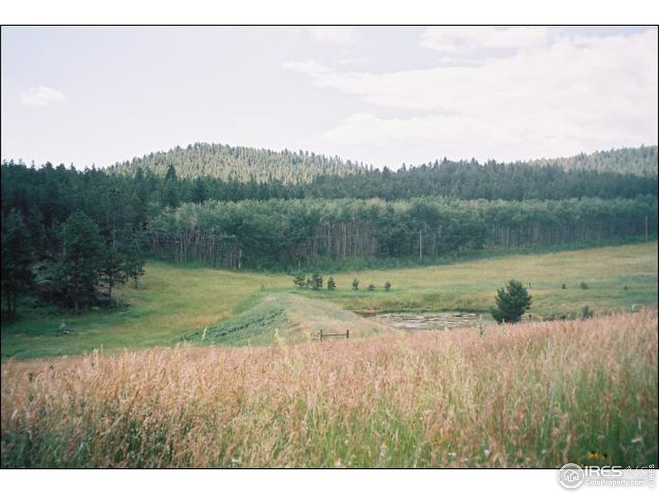 476 Stratton Park Road Bellvue, CO 80512 - Photo 12 of 12 Gallery Image 12