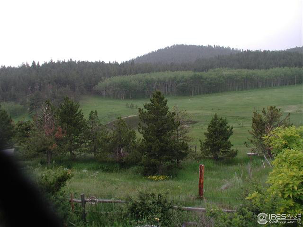 476 Stratton Park Road Bellvue, CO 80512 - Photo 8 of 12 Gallery Image 8