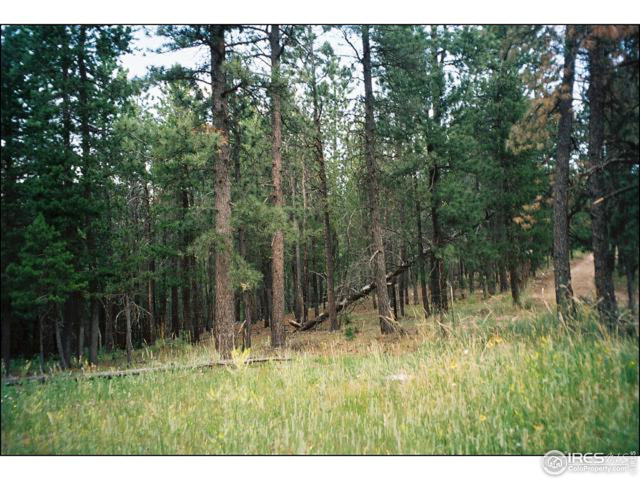 476 Stratton Park Road Bellvue, CO 80512 - Photo 10 of 12 Gallery Image 10