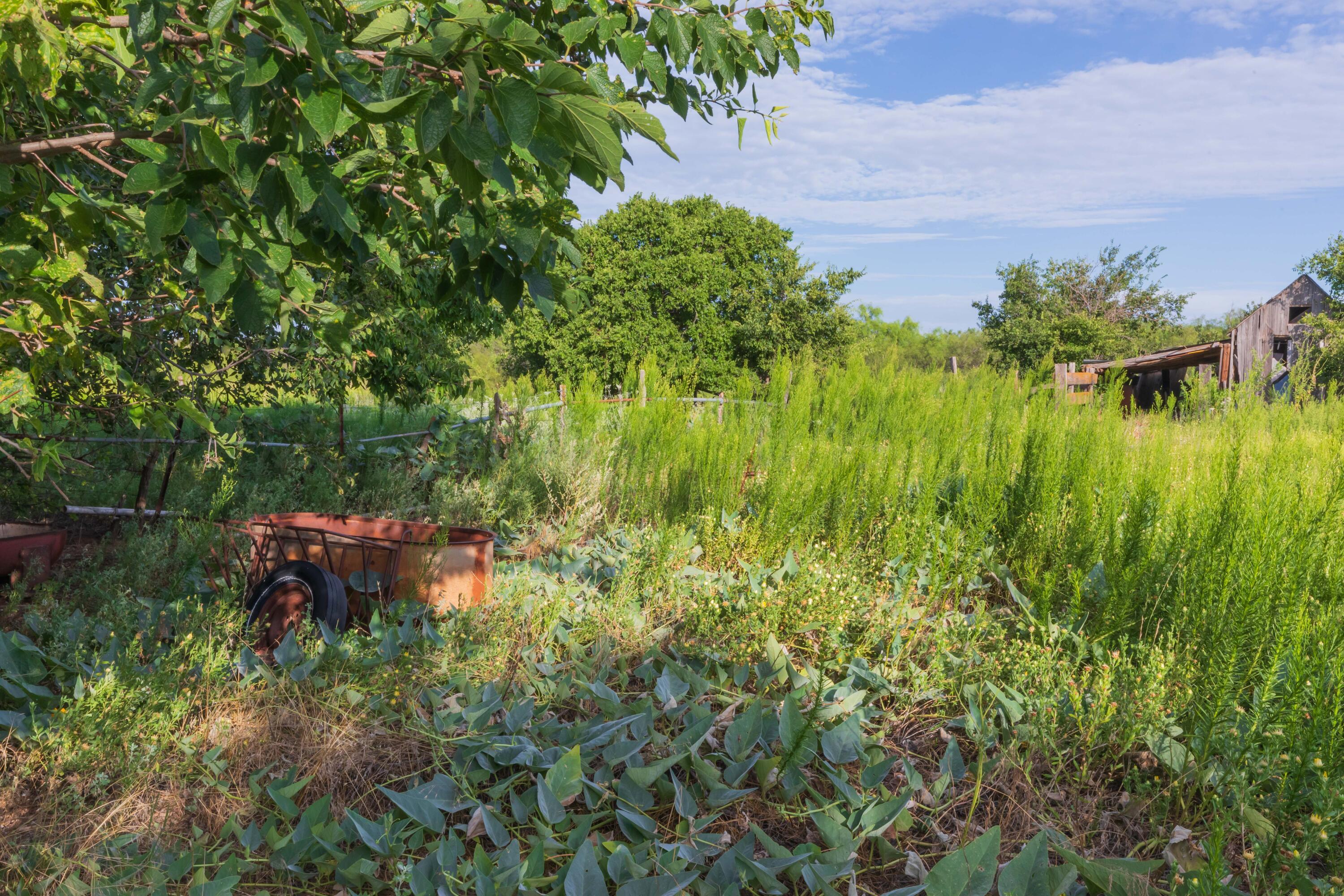 501 North Koogle Street Clarendon, TX 79226 - Photo 13 of 27 a view of a garden with a lake