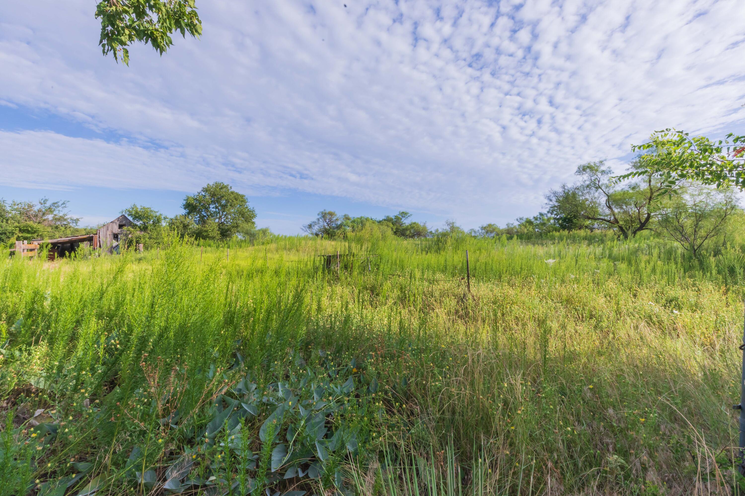 501 North Koogle Street Clarendon, TX 79226 - Photo 9 of 27 a view of a garden